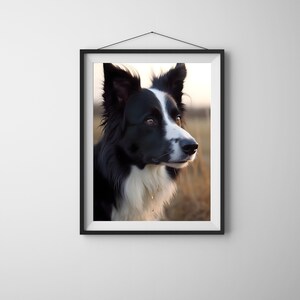 Border Collie - Digital Download PNG, Instant Download, Digital Art