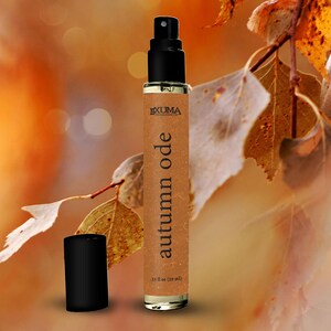 Fall Ambers Perfume Gift Set: 3 Warming Autumn Fragrances image 9