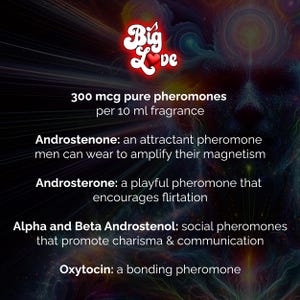 May include: An advertisement for "Big Love" fragrance, with text detailing pheromones. The image includes the text "300 mcg pure pheromones per 10 ml fragrance" and descriptions of Androstenone, Androsterone, Alpha and Beta Androstenol, and Oxytocin.
