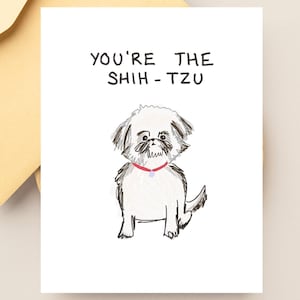 Carte drôle « Vous êtes le shih-tzu » pour petit ami ou mari, carte drôle de chien pour le meilleur ami ou collègue, carte de chien, carte d'amour animal mignon