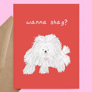 Drôle de « envie de baiser ? Carte de Saint-Valentin chien, carte d'amour, carte romantique pour petit ami ou mari, Saint-Valentin sexy, carte de dragueur, carte de rendez-vous