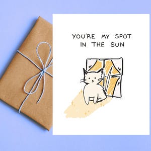 May include: A white greeting card with the text "YOU'RE MY SPOT IN THE SUN" and a drawing of a white cat by a window. A wrapped brown package tied with light blue string is on the left.