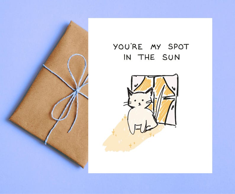 May include: A white greeting card with the text "YOU'RE MY SPOT IN THE SUN" and a drawing of a white cat by a window. A wrapped brown package tied with light blue string is on the left.