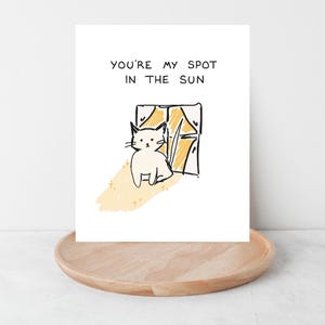May include: A greeting card with a whimsical illustration of a white cat sitting by a window. The text "YOU'RE MY SPOT IN THE SUN" is written above the cat. The artwork has a hand-drawn style with yellow and black accents.