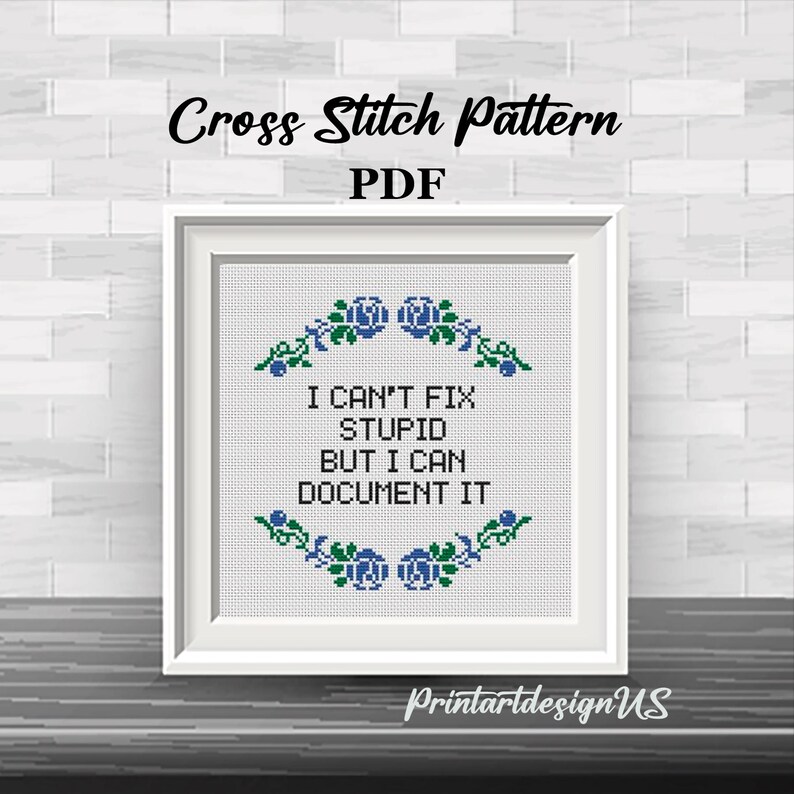 May include: A framed cross-stitch pattern with the text "I CAN'T FIX STUPID BUT I CAN DOCUMENT IT." The design includes blue floral accents and the words "Cross Stitch Pattern PDF." The frame is white, and the background is a brick wall.