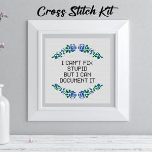 May include: A framed cross-stitch kit with the text "I CAN'T FIX STUPID BUT I CAN DOCUMENT IT." The design features blue floral accents. The words "Cross Stitch Kit" are written at the top of the frame.