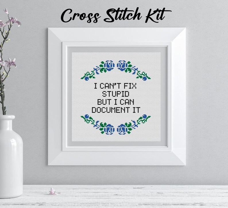 May include: A framed cross-stitch kit with the text "I CAN'T FIX STUPID BUT I CAN DOCUMENT IT." The design features blue floral accents. The words "Cross Stitch Kit" are written at the top of the frame.