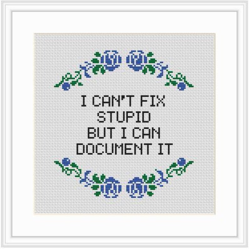 May include: Framed cross-stitch with the text "I CAN'T FIX STUPID BUT I CAN DOCUMENT IT". The design is in black thread, with blue and green floral embellishments. The background is white fabric, set within a white frame.
