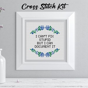 May include: A framed cross-stitch kit with the text "I CAN'T FIX STUPID BUT I CAN DOCUMENT IT." The design features blue floral accents. The words "Cross Stitch Kit" are written at the top of the frame.