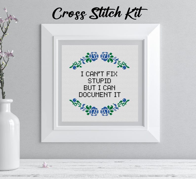 May include: A framed cross-stitch kit with the text "I CAN'T FIX STUPID BUT I CAN DOCUMENT IT." The design features blue floral accents. The words "Cross Stitch Kit" are written at the top of the frame.