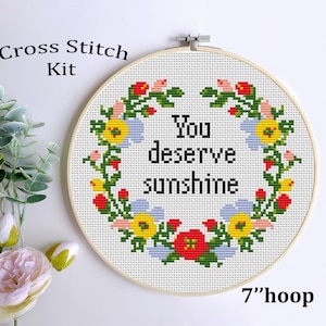 You deserve sunshine. Heated Rivalry Quote Funny Cross Stitch Kit