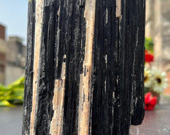 Black Tourmaline Rough Stone:  Natural Raw Crystal for Grounding, Protection & Home Décor (205MM)