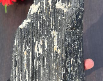 Black Tourmaline Rough Stone:  Natural Raw Crystal for Grounding, Protection & Home Décor (175MM)
