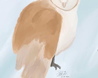 Barn Owl - Art Print
