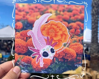 Katrina Axolotl Print | Matte or Glossy