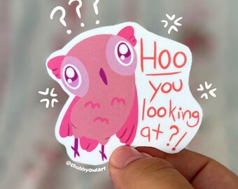 Silly Owl Sticker – "Hoo You Looking At?" Waterproof Laptop Decal Sticker