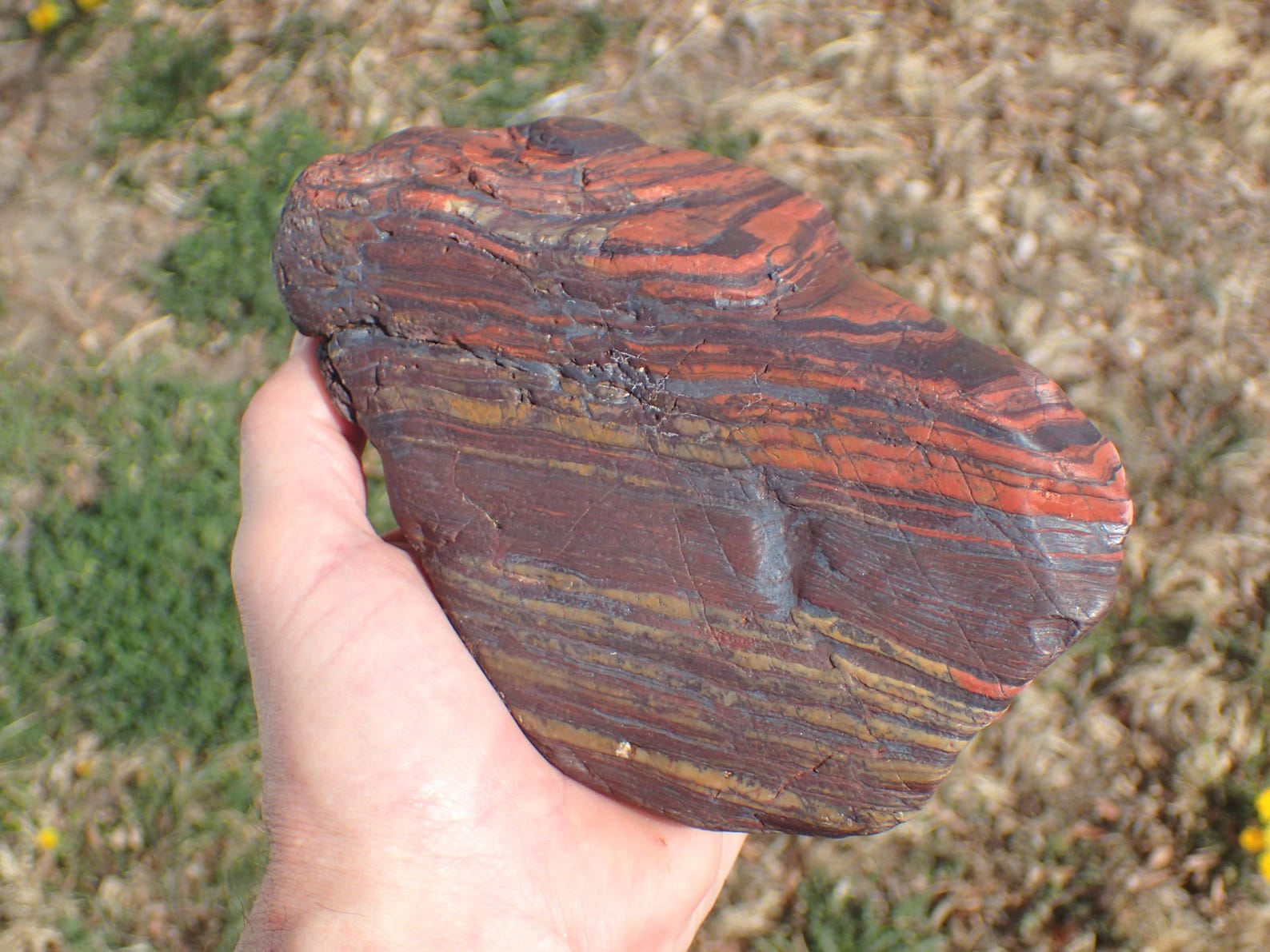 Banded Iron, Tiger Iron, Seer Stone, Genesis Stone, Banded Iron ...
