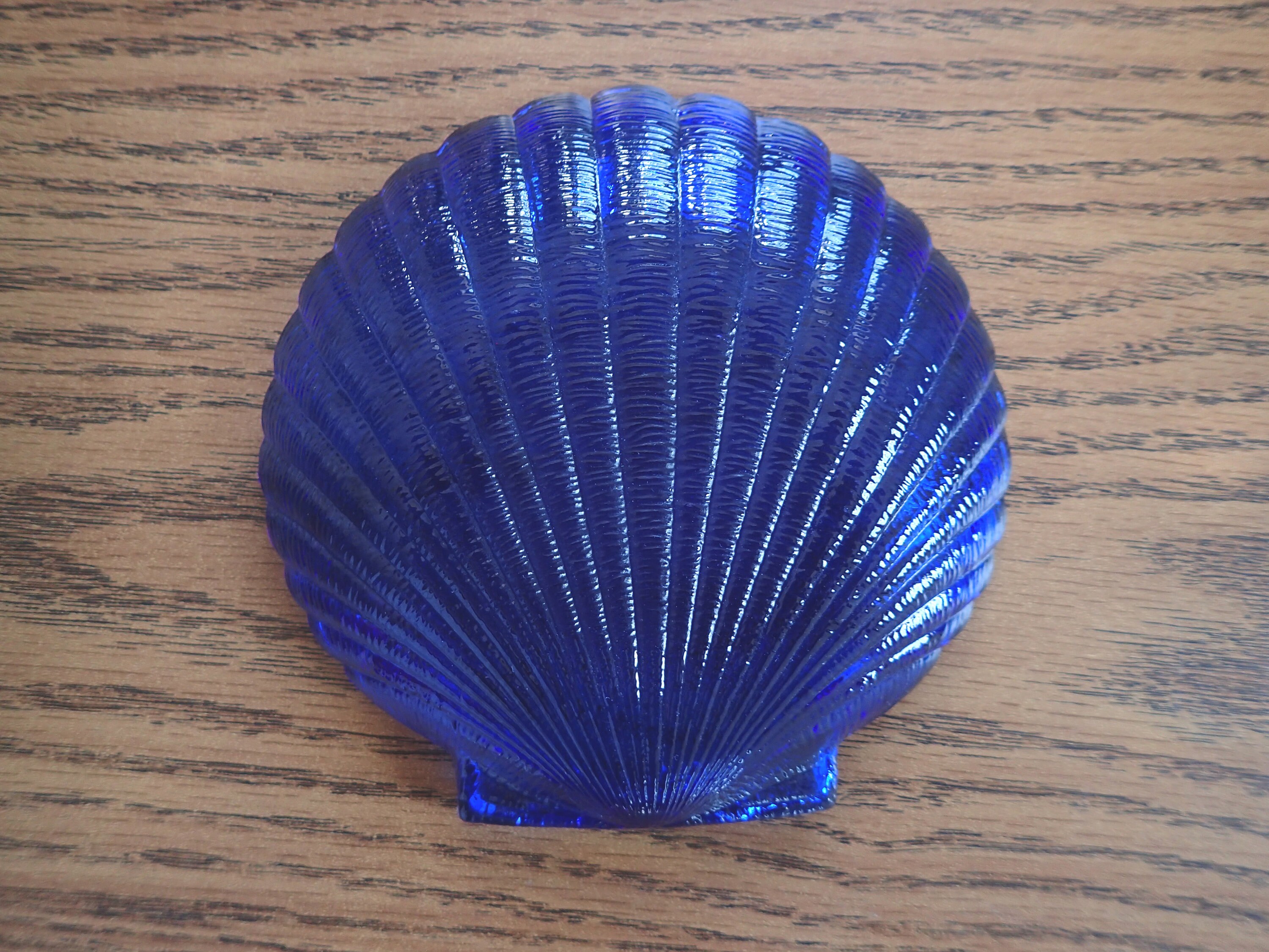 Cobalt Shell Vintage Scallop Shell/sea Shell Cobalt Blue Plates 5.5