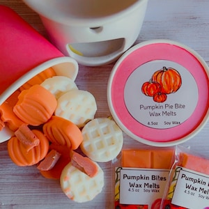 Pumpkin Bite Food Wax Melt