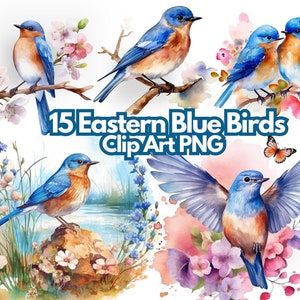 Clip Art Acuarela Azulejos Orientales Fondo Transparente Clip Art Png Aves Uso Comercial Libre Naturaleza Clip Art Diseño Acuarela Png