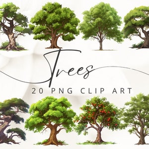 Clip Art Bäume Grafiken Png Natur Clipart für Karten Einladungen Kinder Buch Illustration Clipart einzelne png Elemente Eiche Baum Linde png