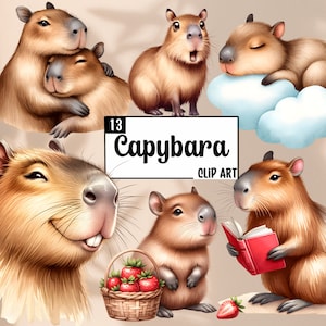 Clip Art Capybara, 300 DPI, usage commercial gratuit, png, lot de cliparts mignons, aquarelles d'animaux sur fond transparent, clipart nature