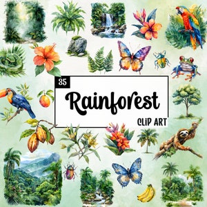 Clip Art regenwoud aquarel, vintage natuur graphics, PNG sublimatie ontwerpen, clipart bundel, exotische jungle elementen, rustiek afdrukbaar