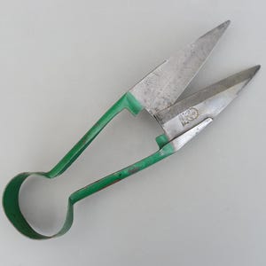 May include: Shears with a green handle and silver blades. The blades are open, revealing a cutting edge. The handle has a loop for the fingers. The shears are designed for cutting.