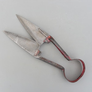 May include: Vintage rusty shears with red painted handles. The shears have a pointed blade and a loop handle.