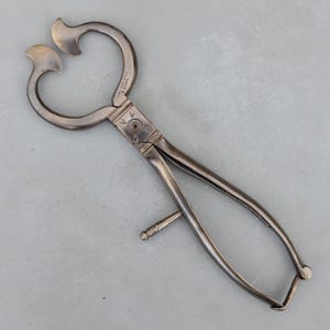 May include: Antique silver-toned metal tongs with a decorative floral design on the hinge. The tongs have curved handles and a screw for adjusting the grip. The ends have a unique, curved shape.