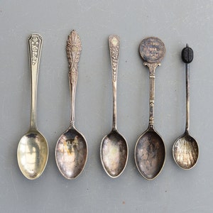 Może przedstawiać: Pięć srebrnych łyżeczek z ozdobnymi wzorami. Łyżeczki mają różne wzory i style, w tym łyżeczkę z kwiatowym wzorem, łyżeczkę z prostą okrągłą miseczką i łyżeczkę z ozdobnym uchwytem.