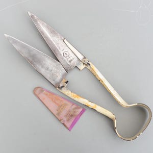 以下が含まれることがあります： カーブしたハンドルと長く尖った刃が付いた、ヴィンテージの金属製ハサミ。ハサミは、白い塗料と錆びた、使い古された素朴な外観をしています。小さくピンクと紫色のパックがハサミの隣にあります。