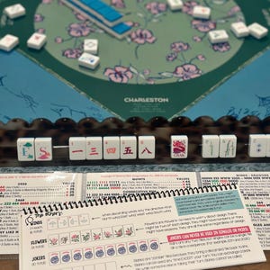 Pu&ograve; includere: Un set da gioco Mah Jong con un tappetino color verde acqua a motivi floreali, un supporto per tessere marrone scuro con tessere bianche dai simboli rossi e verdi e una guida didattica a spirale con regole e tipi di tessere.