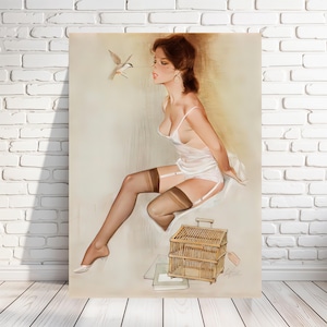 FRITZ WILLIS: Classic Pinup, Vintage Reproduction, Great Figure, Sexy, Heels, Bird Cage, Multiple Sizes, Prints, Posters [202-372]