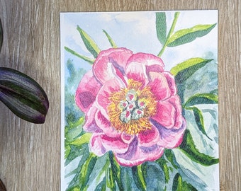 Pink Peony Watercolor Print