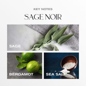 May include: An image with the text "KEY NOTES" and "SAGE NOIR". The image shows sage leaves, green limes labeled "BERGAMOT", and sea salt in a wooden bowl labeled "SEA SALT".