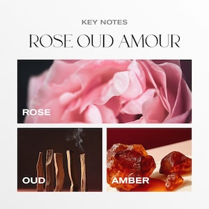 May include: An image with the text "KEY NOTES" and "ROSE OUD AMOUR". The image includes a close-up of a pink rose, oud wood, and amber resin. The word "ROSE" is written below the rose image, "OUD" below the oud wood, and "AMBER" below the amber resin.