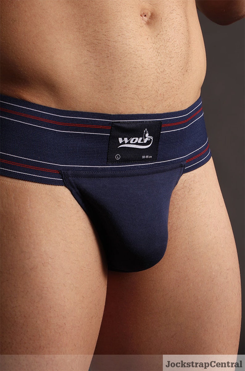 Wolf Athletic Supporter Blue image 3