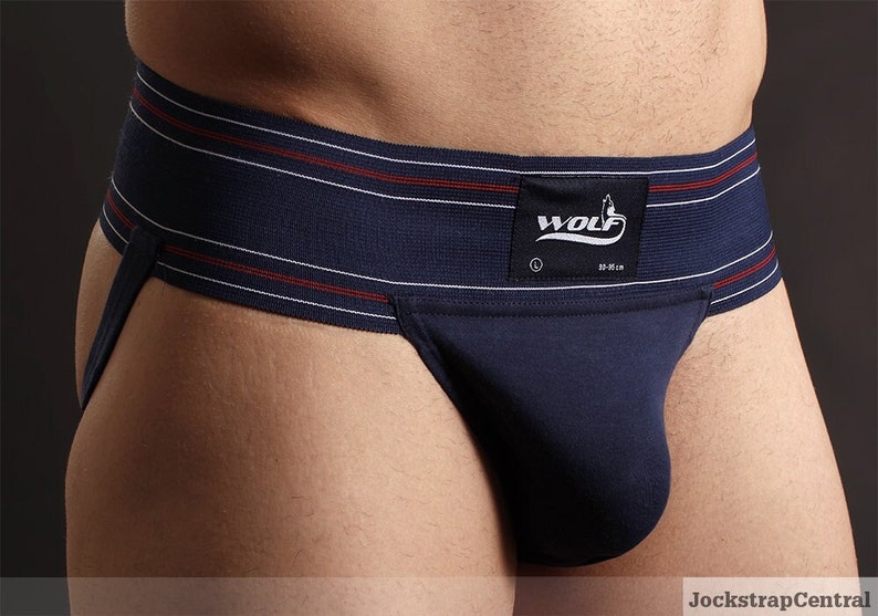 Wolf Athletic Supporter Blue image 1