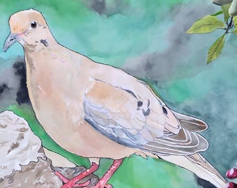 Mourning Dove Print