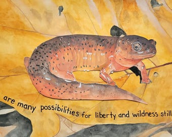 Salamander Natur Druck