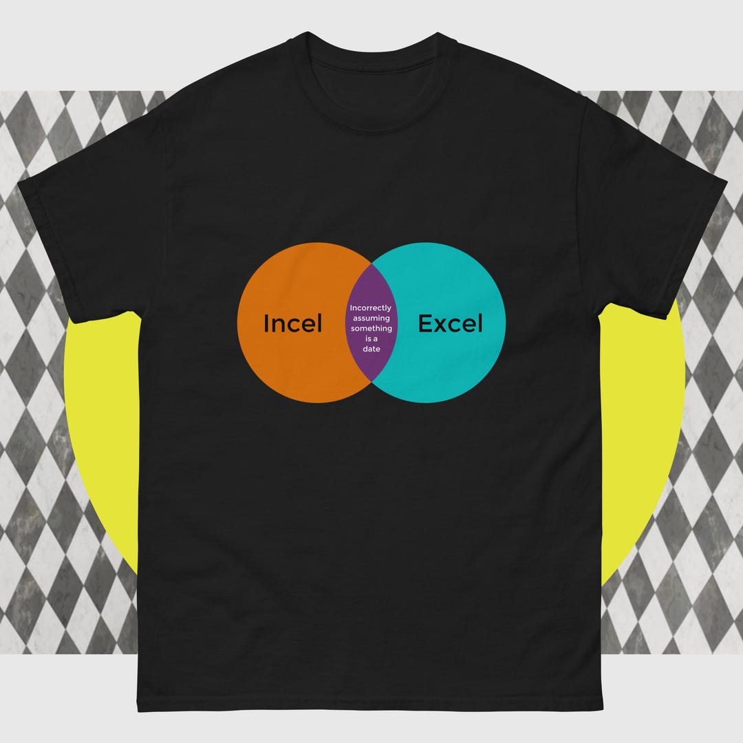 Incel Vs. Excel Funny Venn Diagram Tshirt, Nerdy Humorous Graphic Tee