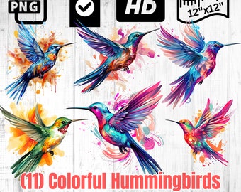 Vibrante conjunto de imágenes prediseñadas de colibrí / Gráficos de pájaros coloridos / PNG digital / Descarga instantánea