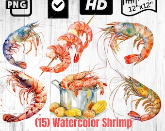 Aquarelle de crevettes | Crevettes sauvages | Crevettes cuites PNG | Clipart de fruits de mer | Faire bouillir les crevettes | Téléchargement instantané