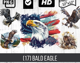 Bald Eagle Clipart | Majestic Eagle PNG | American Flag with Eagle | American Flag Clipart | Patriotic Eagle Illustration Instant Download