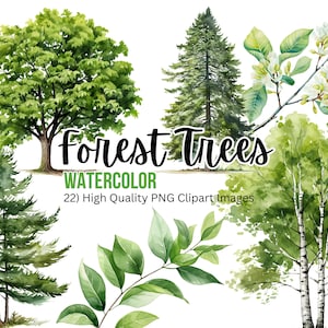 Clipart di alberi della foresta dell'acquerello / invito a nozze / clipart di fogliame verde / albero PNG / elementi floreali / betulla dell'acquerello