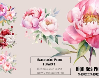 Watercolor Peony Flowers Clipart Flower Peony PNG Floral Flower Clipart Instant Download Commerical Use Peonies PNG Peony Clipart