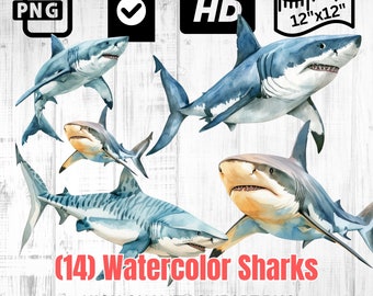 Requins à l'aquarelle | Clipart requin | Grand requin blanc | Requin tigre PNG | Clipart océan | Téléchargement instantané