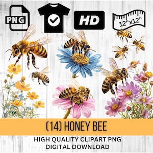 Honey Bee Clipart | Flowers and Bees | Spring Floral | Instant Download | PNG