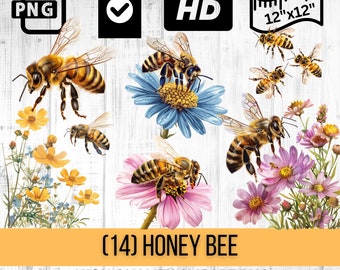 Honey Bee Clipart | Flowers and Bees | Spring Floral | Instant Download | PNG
